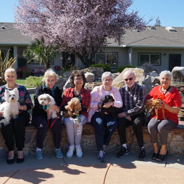 Bethany residents with their dogs